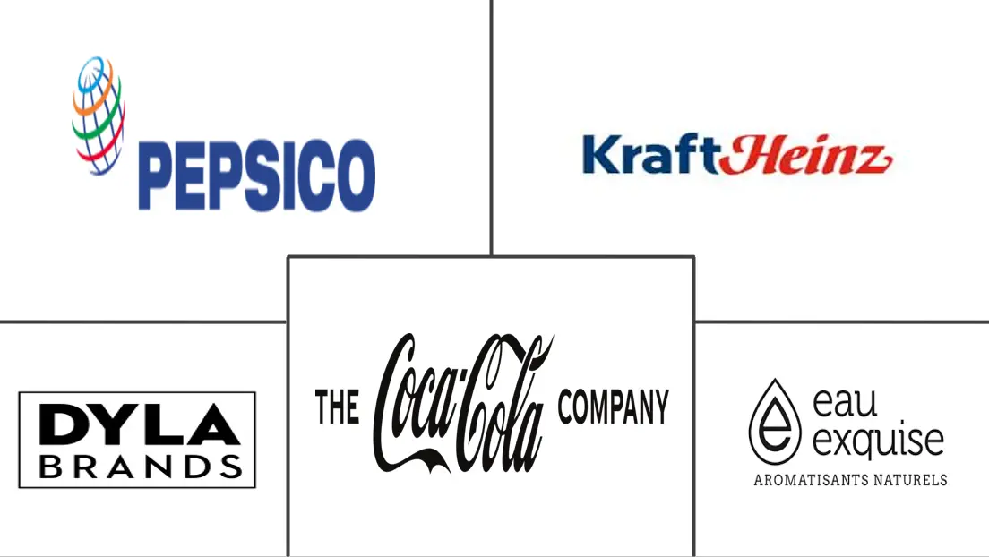 欧洲水强化剂市场规模和份额