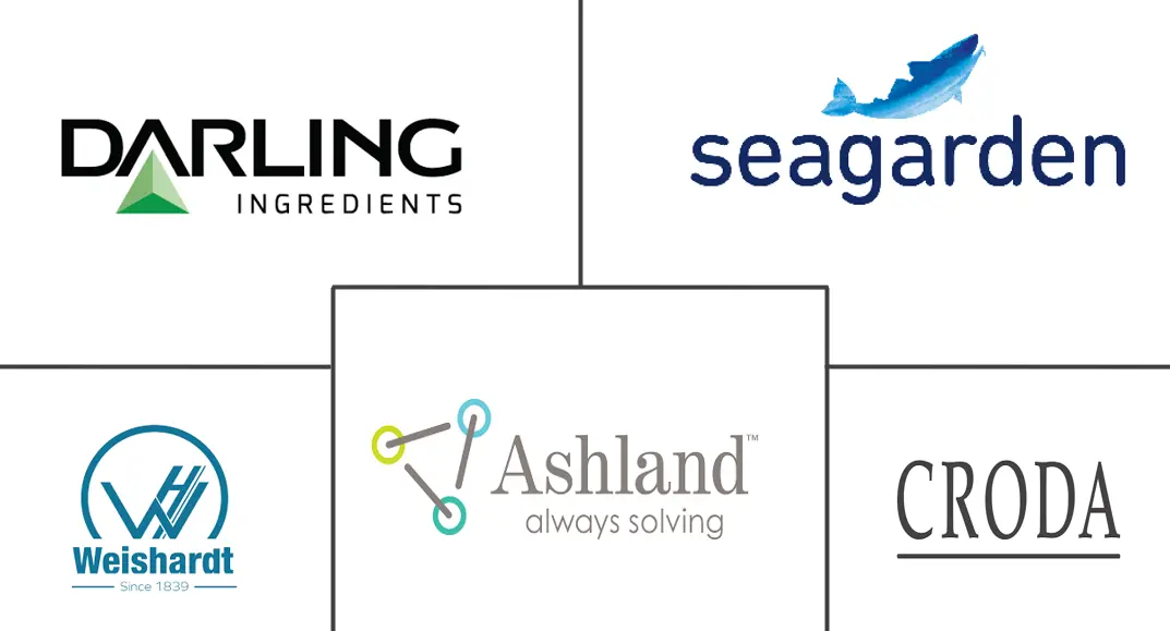 海洋胶原蛋白市场规模和份额