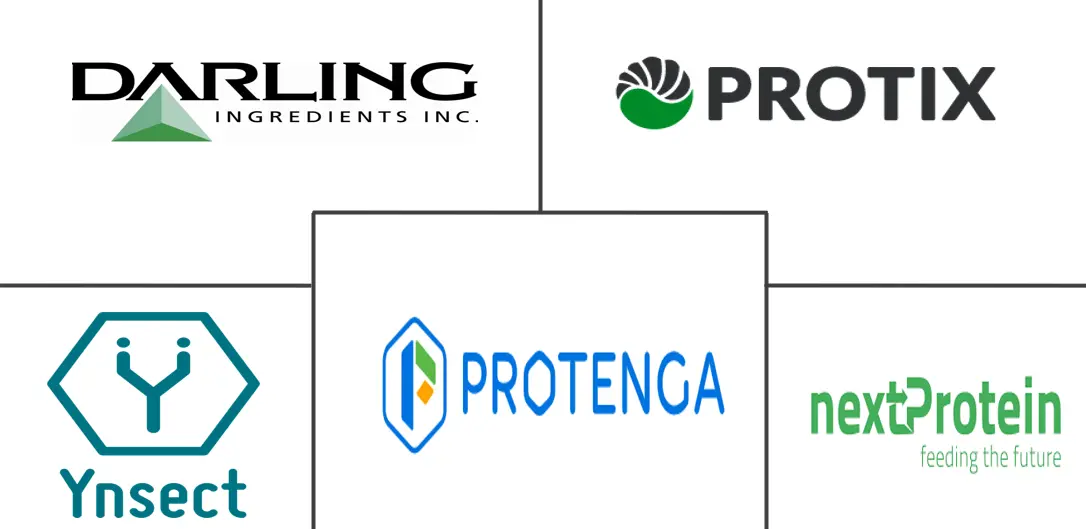 昆虫蛋白市场规模和份额