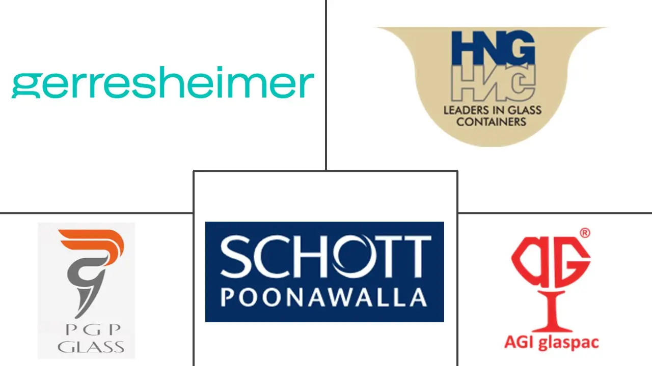 印度包装市场规模及份额