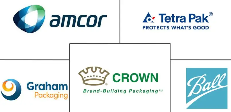 南美洲软饮料包装市场规模和份额分析