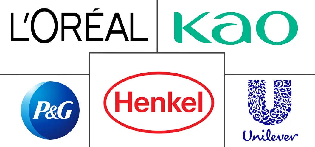 美国护发市场规模及份额