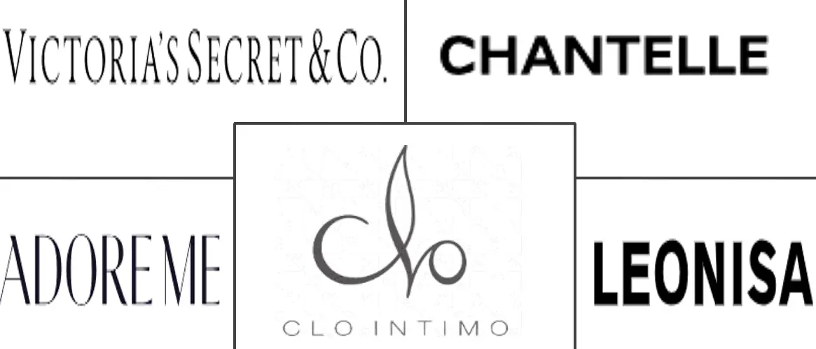 南美内衣市场规模及份额