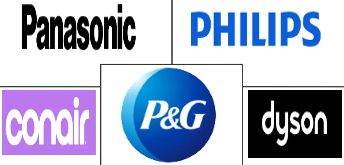 欧洲个人护理电器市场规模和份额分析