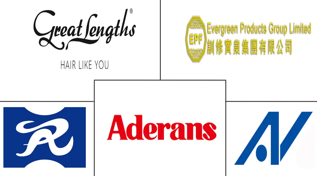 假发和接发市场规模和份额