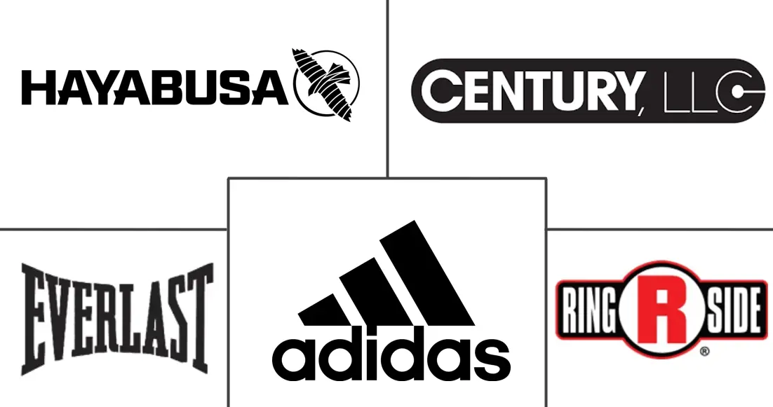 综合武术装备市场规模及份额