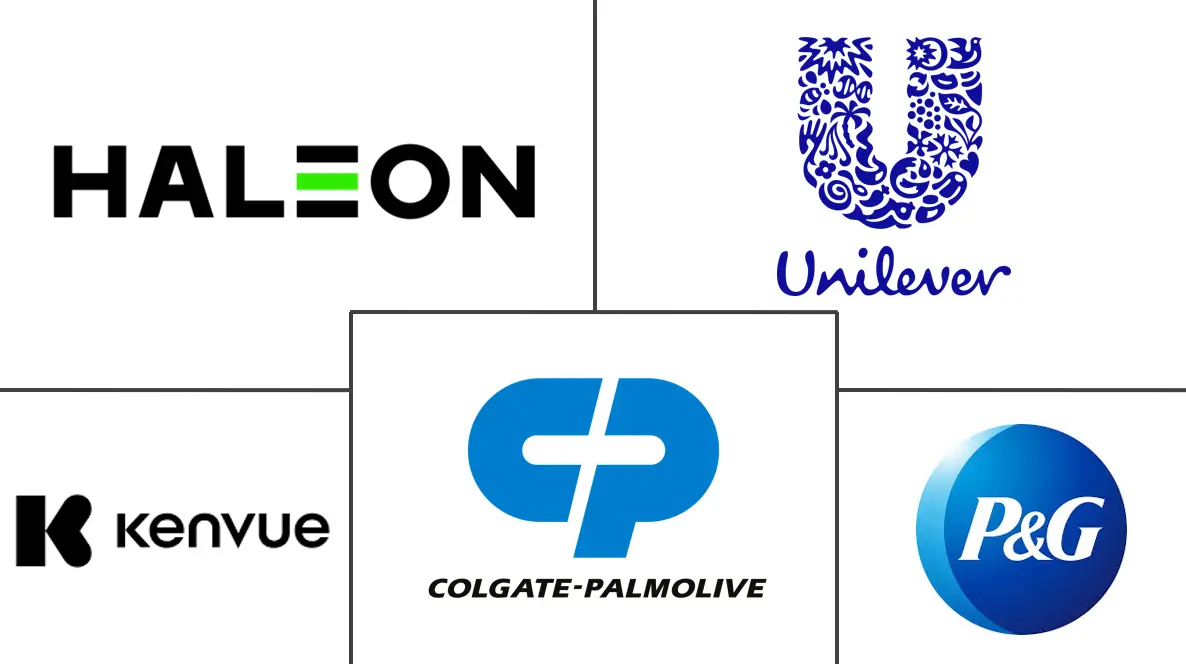 欧洲口腔护理市场规模和份额
