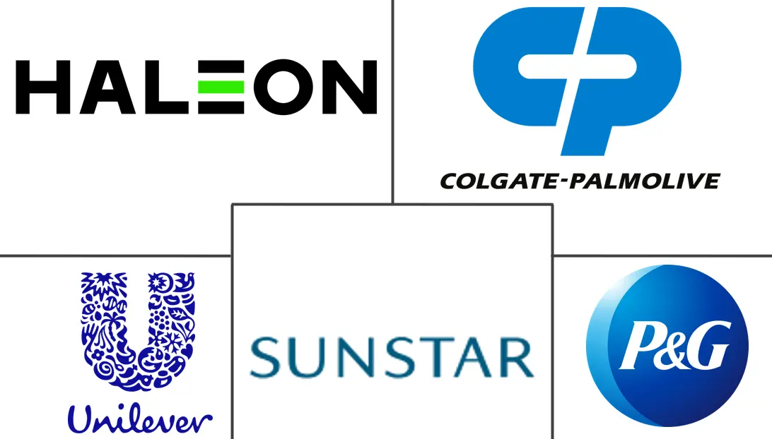 手动牙刷市场规模及份额