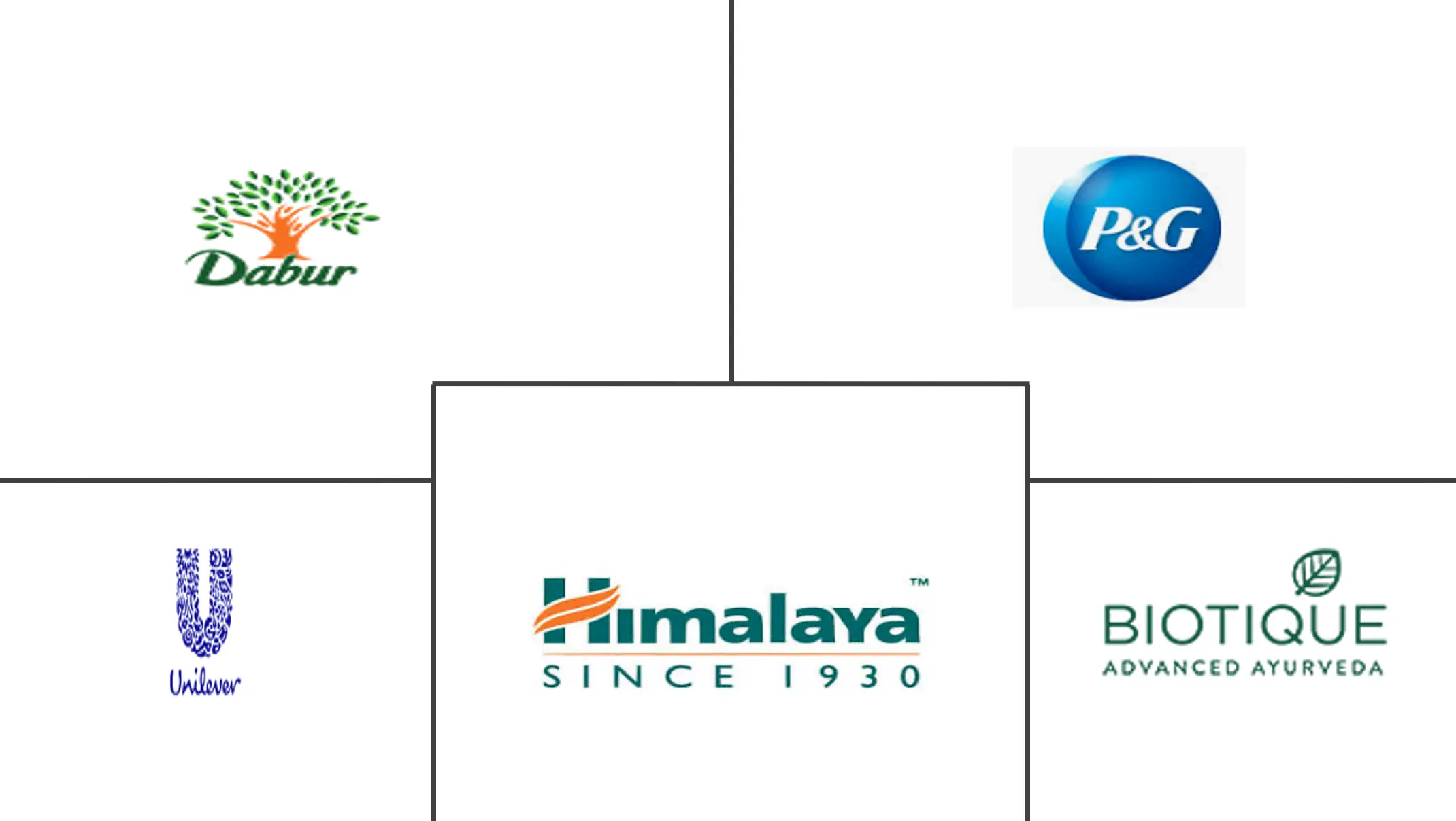 中东草药洗发水市场规模