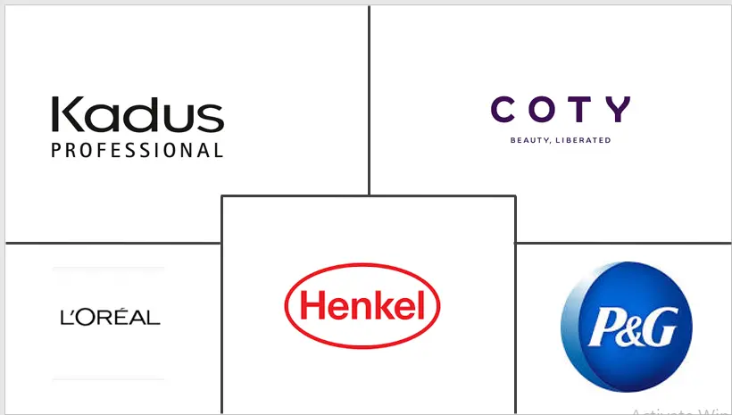 北美烫发和松弛剂市场规模