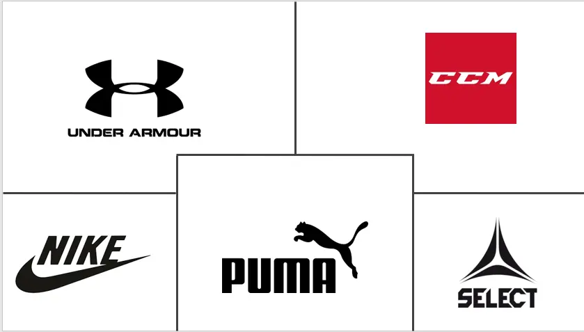 美国运动包市场规模