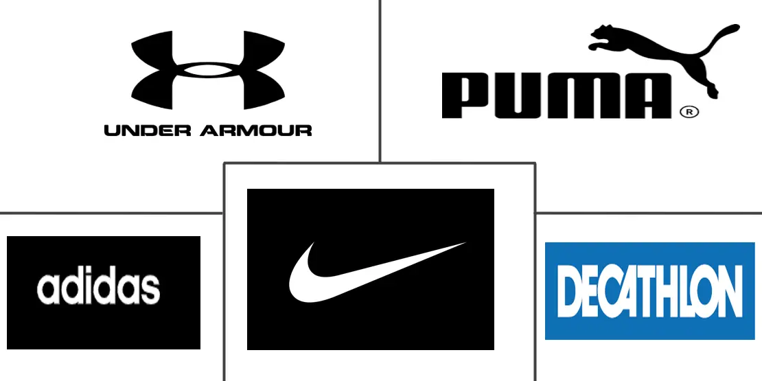 南美运动鞋市场规模和份额分析