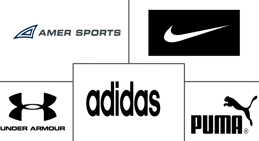 运动防护用品市场规模及份额