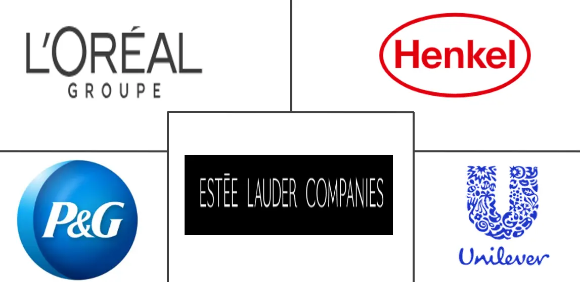 北美护发素市场规模及份额