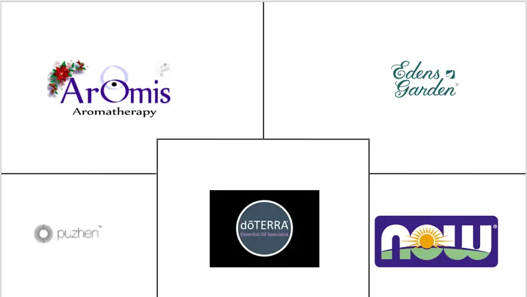 欧洲香薰机市场规模