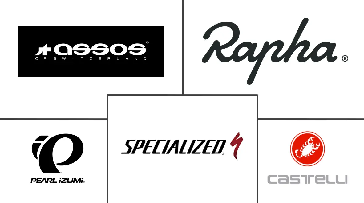 骑行服市场规模及份额