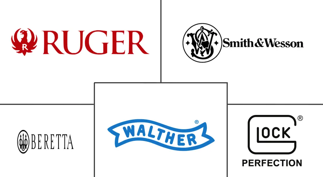 运动枪市场规模及份额