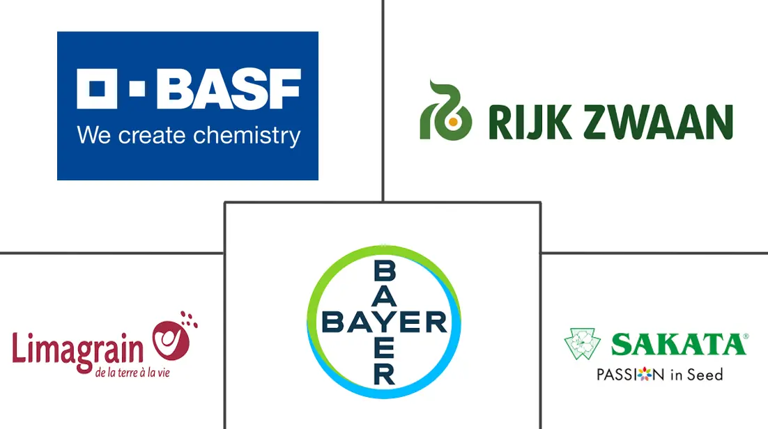 蔬菜种子市场规模和份额