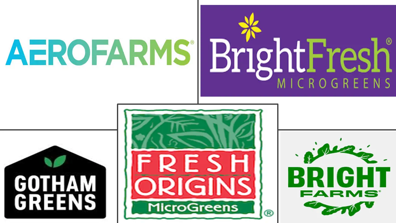 美国微型蔬菜市场规模和份额