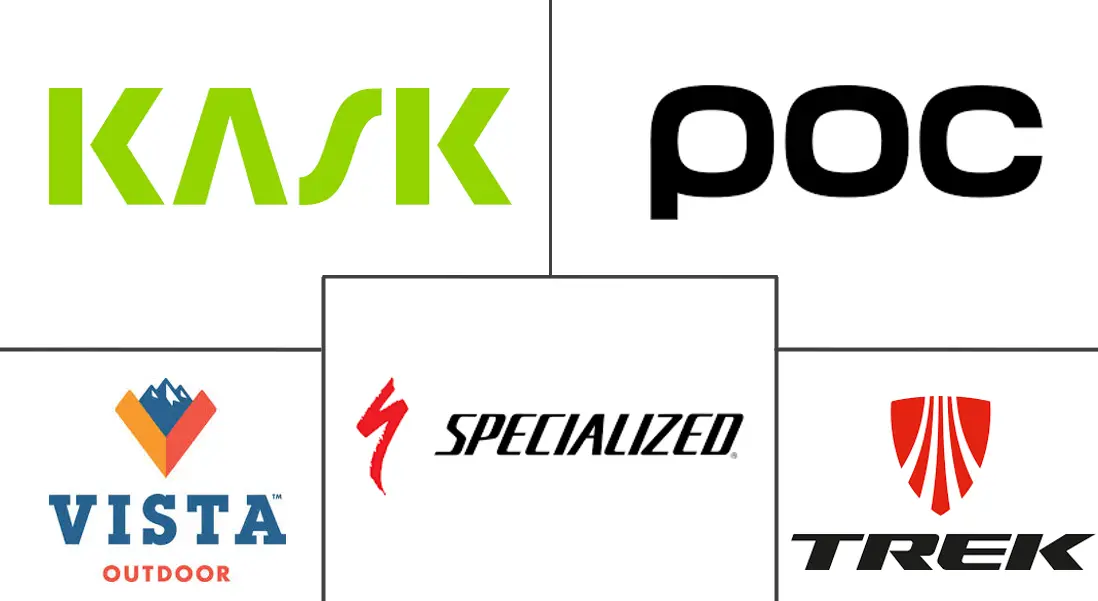 骑行头盔市场规模和份额