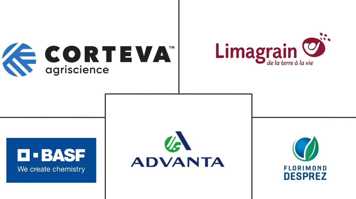 小麦种子市场规模和份额