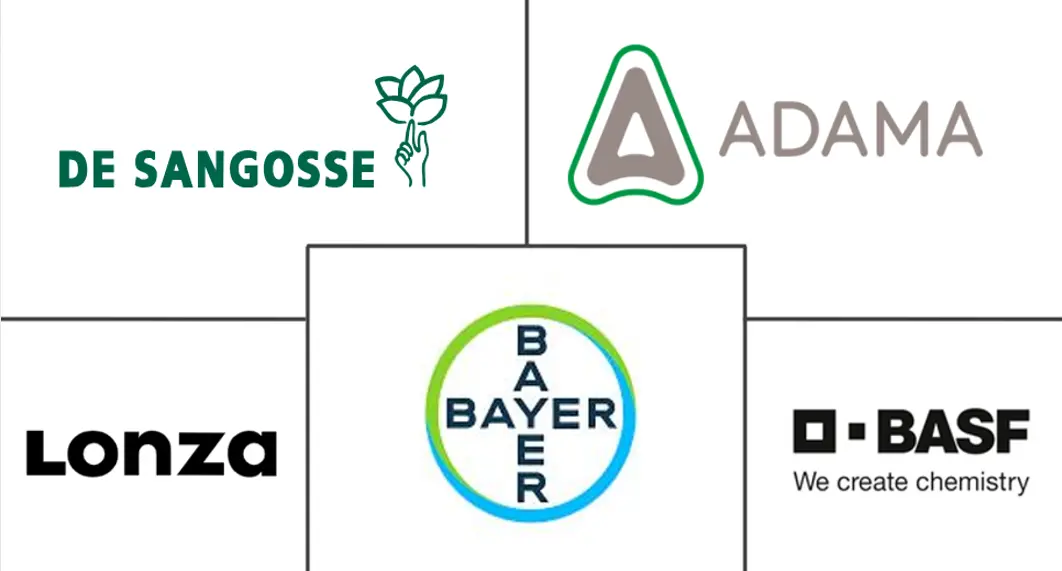 南美洲杀软体动物剂市场规模和份额