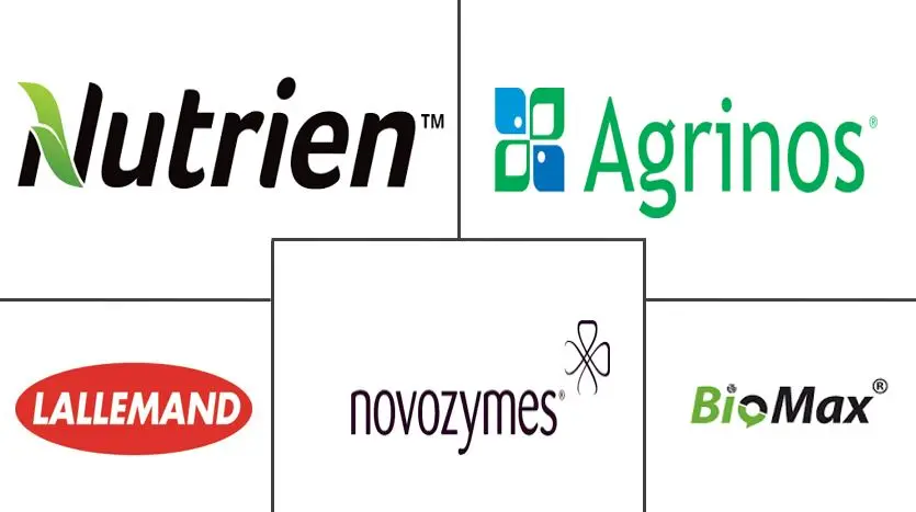 南美生物肥料市场规模