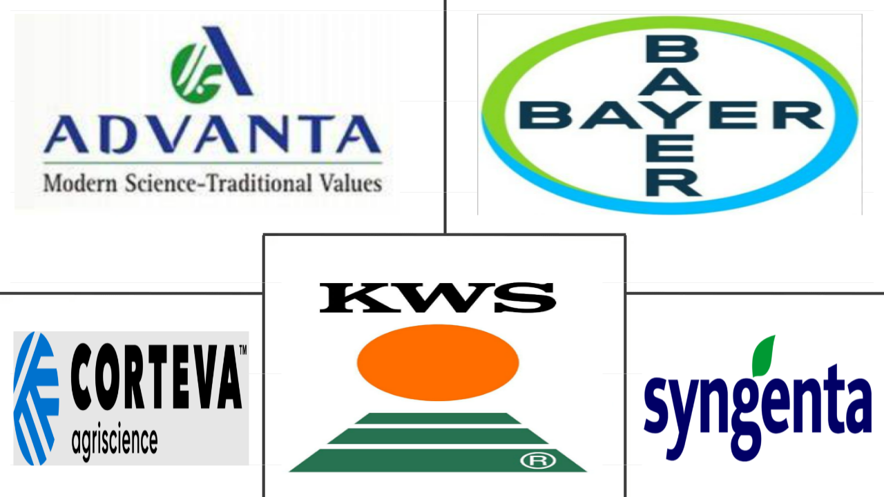 玉米种子市场规模