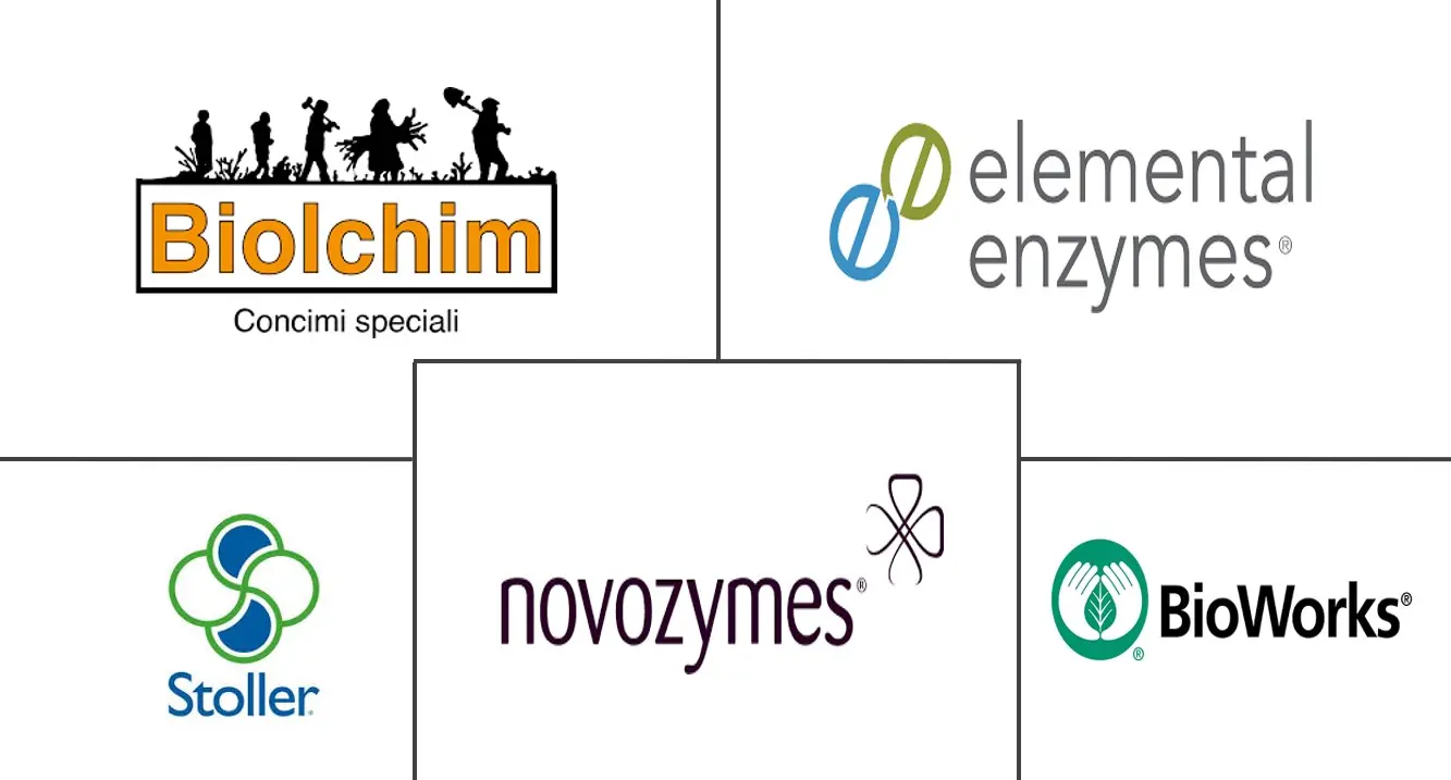 欧洲农业酶市场规模