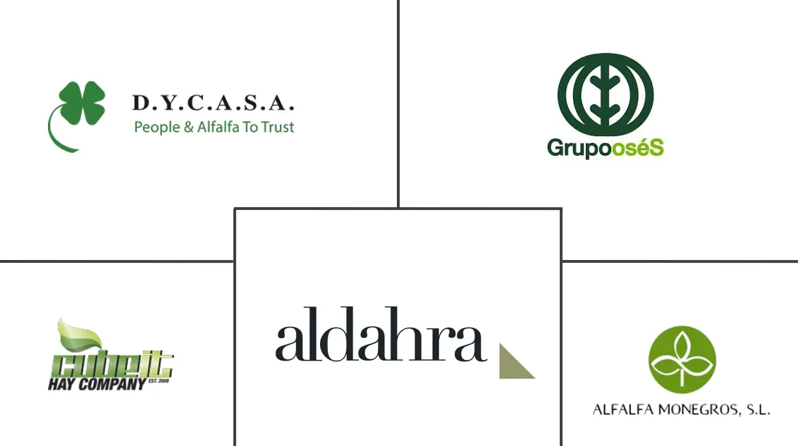 西班牙苜蓿干草市场规模