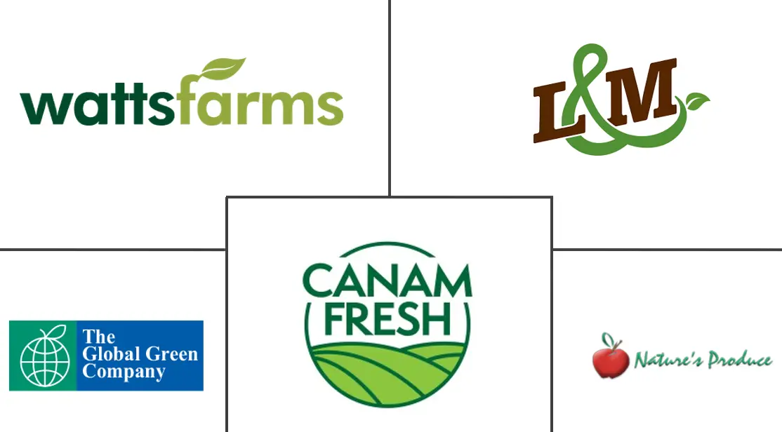 墨西哥辣椒市场规模