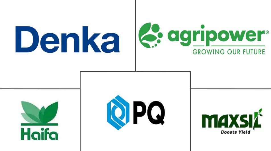 硅肥市场规模及份额