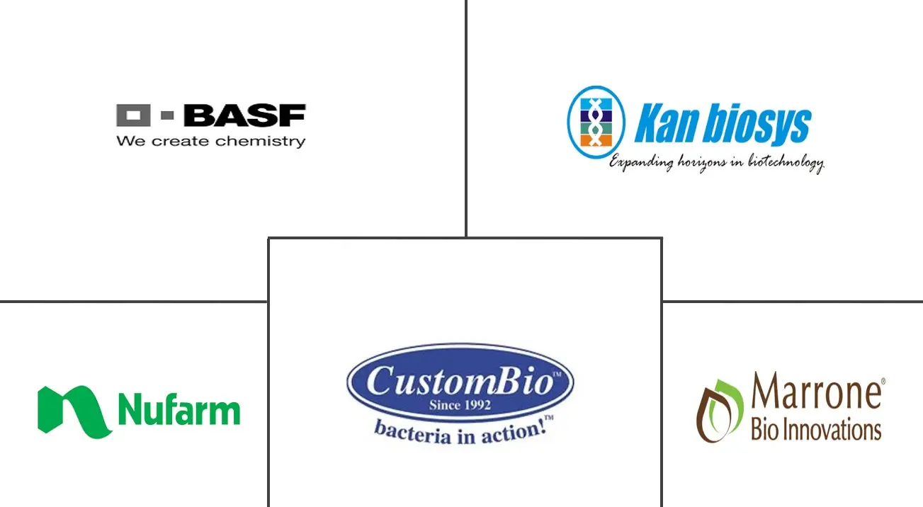 印度尼西亚生物农药市场规模