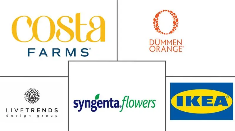 室内植物市场规模和份额