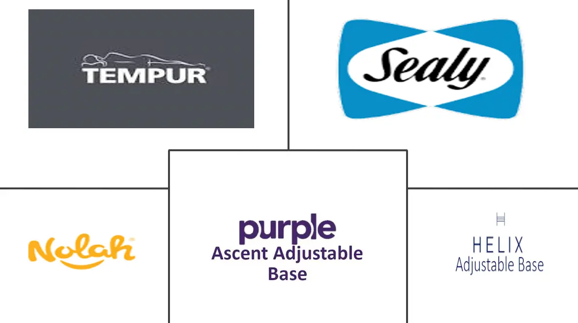 美国可调节床架市场规模