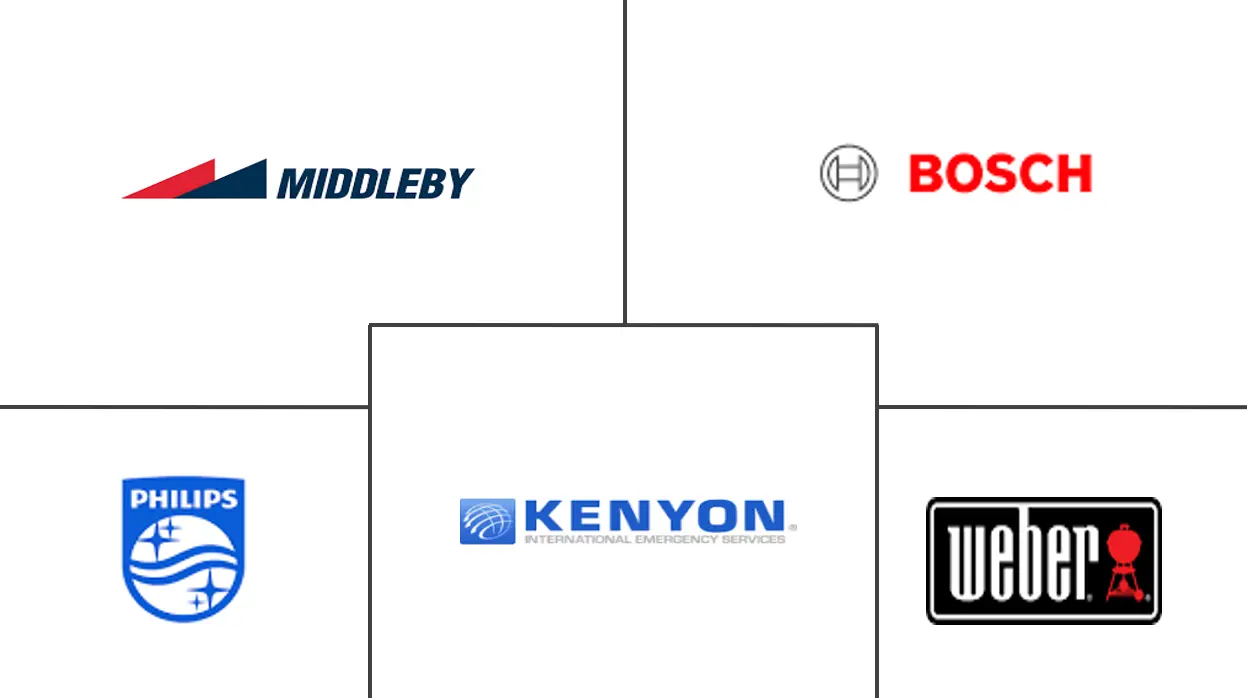 俄罗斯家用电烧烤炉市场规模