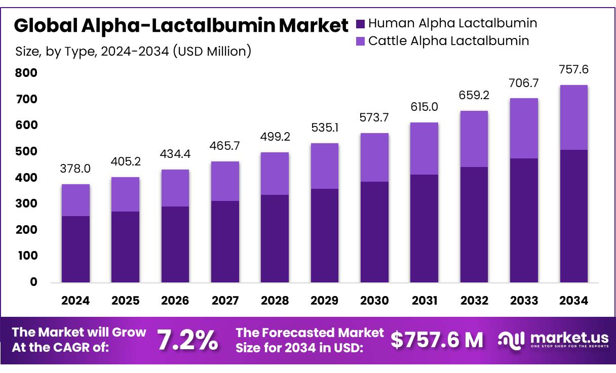α-乳清蛋白市场(2025-2034)