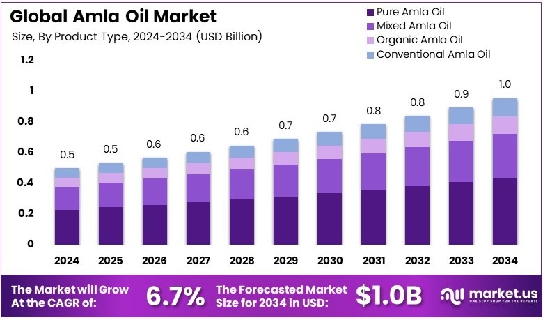 阿姆拉石油市场(2025-2034)