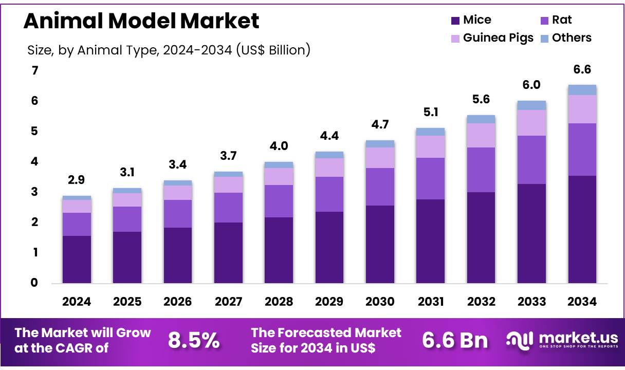 动物模型市场(2025-2034)