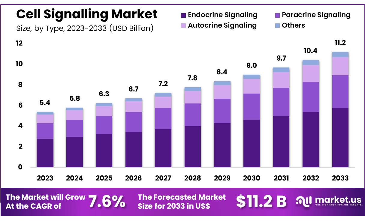 细胞信号市场(2024-2033)