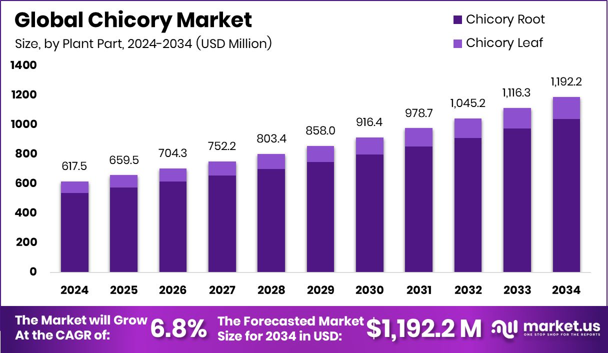 菊苣市场(2025-2034)