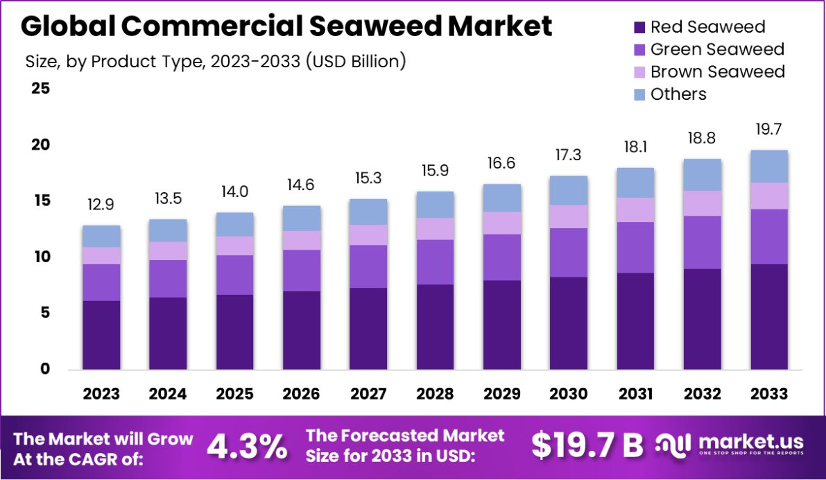 商业海藻市场(2024-2033)