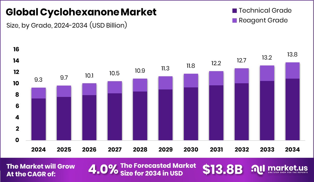 环己酮市场(2025-2034)