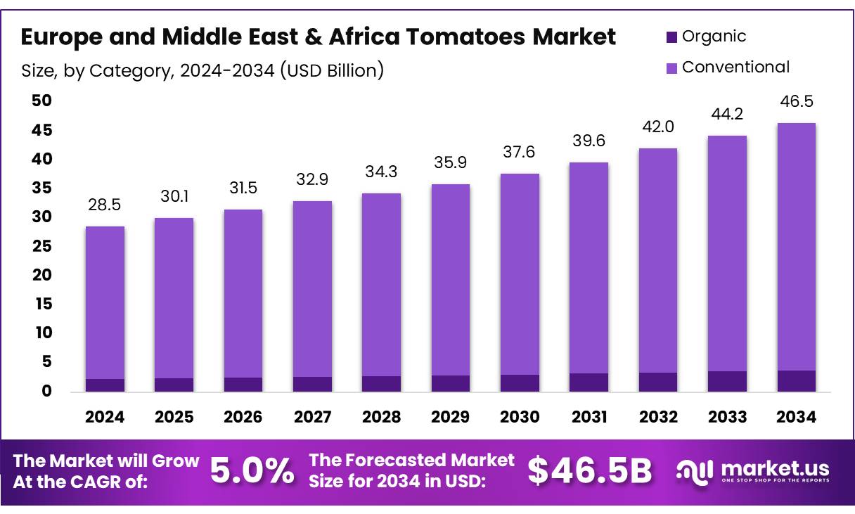 欧洲及中东和非洲番茄市场(2025-2034)