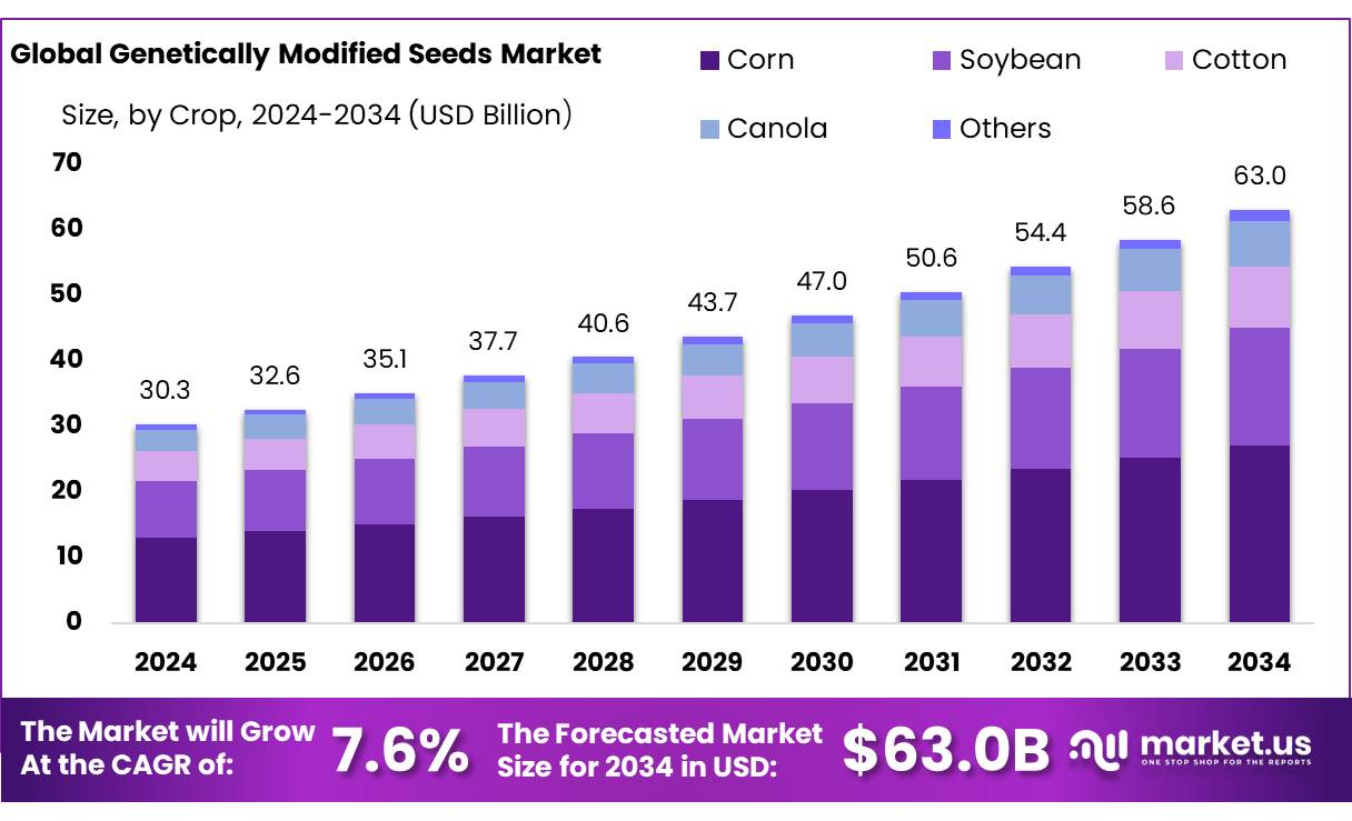 转基因种子市场(2025-2034)