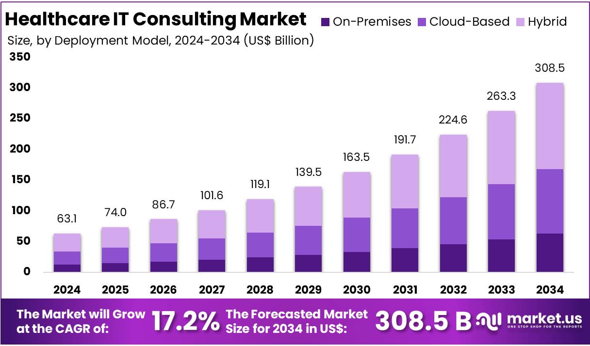 医疗保健 IT 咨询市场(2025-2034)