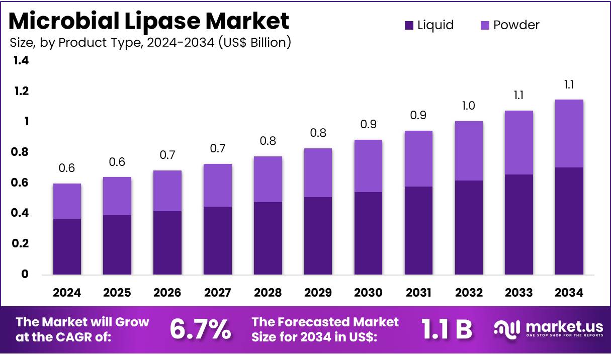 微生物脂肪酶市场(2025-2034)