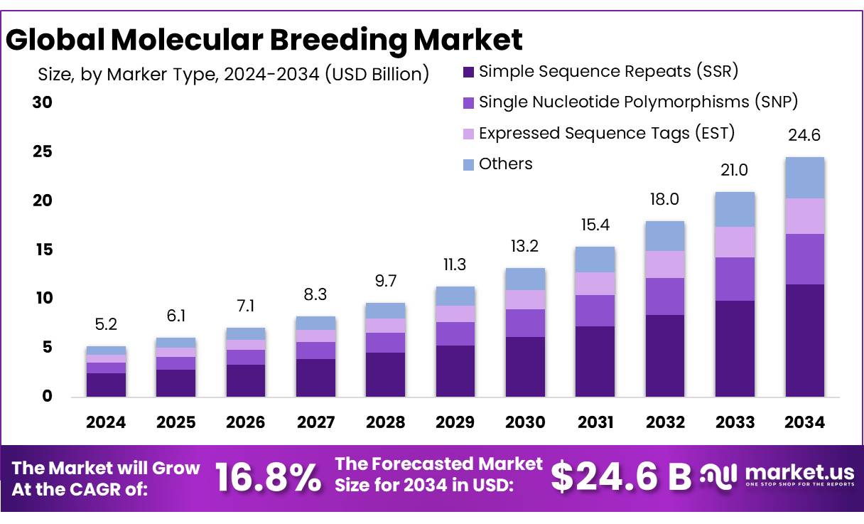 分子育种市场(2025-2034)
