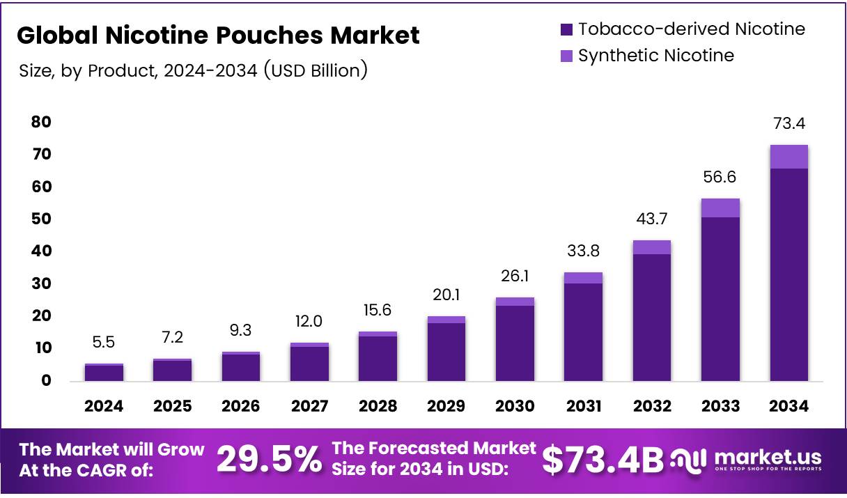 尼古丁袋市场(2025-2034)