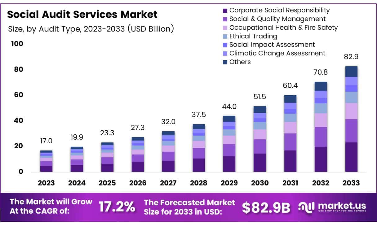 社会审计服务市场(2024-2033)